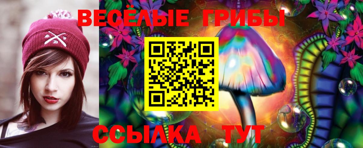 Псилоцибиновые грибы Cubensis  Вход с VPN  Малгобек 