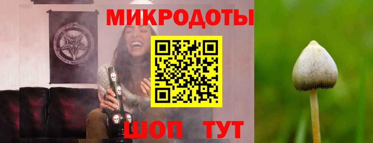 Галлюциногенные грибы Cubensis Малгобек